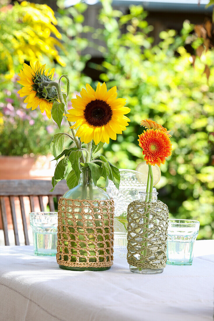 Sonnenblumen (Helianthus) und Gerbera in Makramee-Glasvasen auf Gartentisch