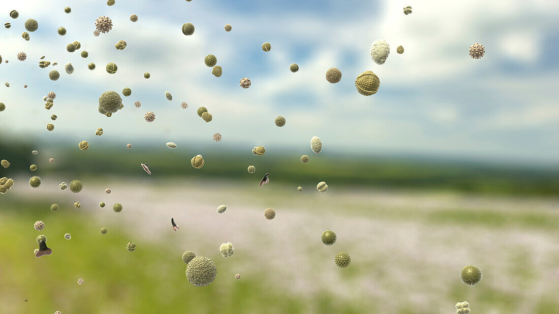 Pollen particles in the air, illustration
