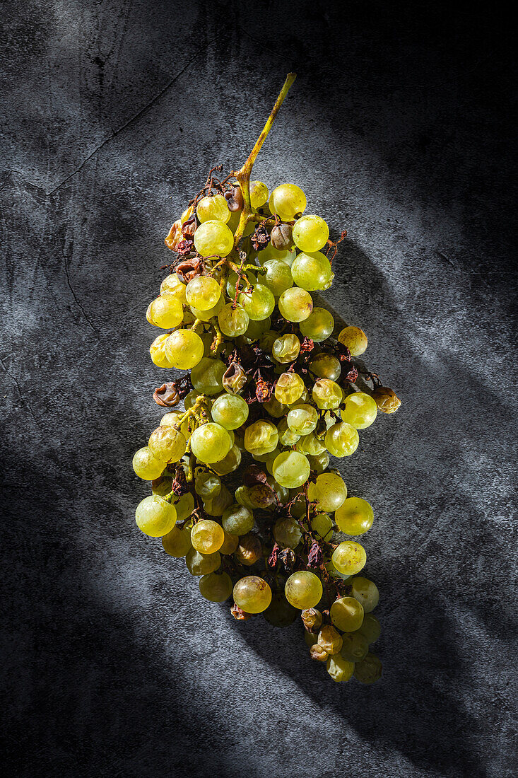 Green grapes just before they dry out