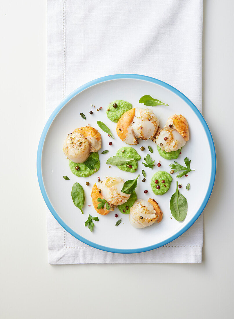 Fried scallops with pea cream