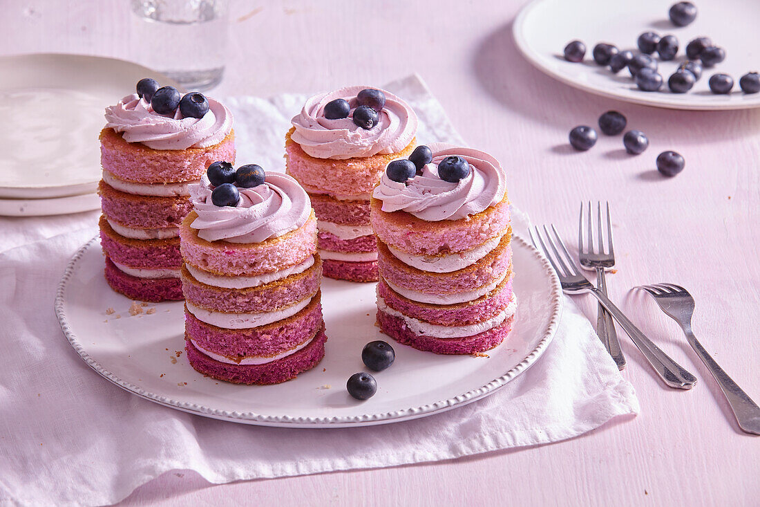 Blaubeer-Mini-Ombre-Kuchen