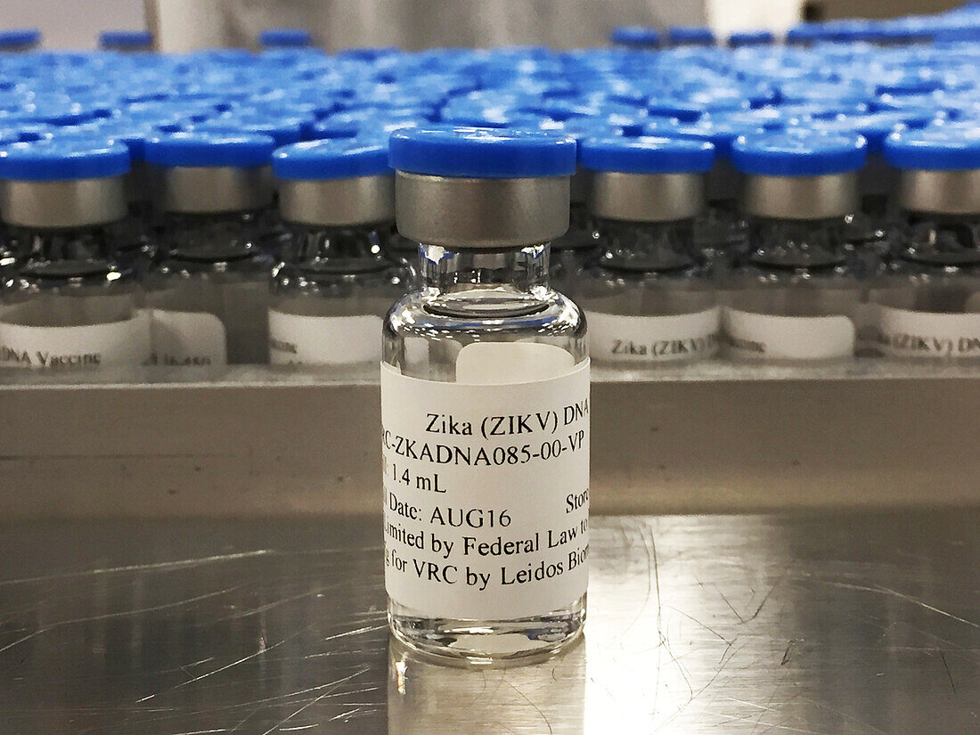 Investigational Zika virus DNA vaccine