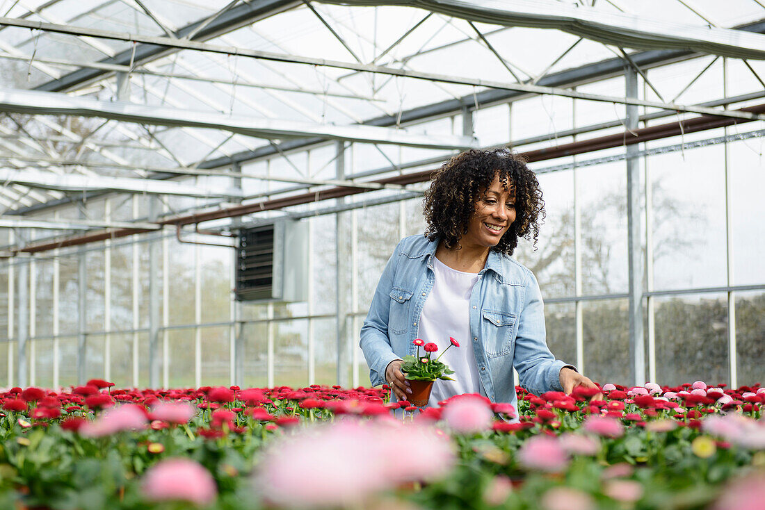 Lächelnde junge Frau in Gärtnerei sucht Blumentöpfe aus