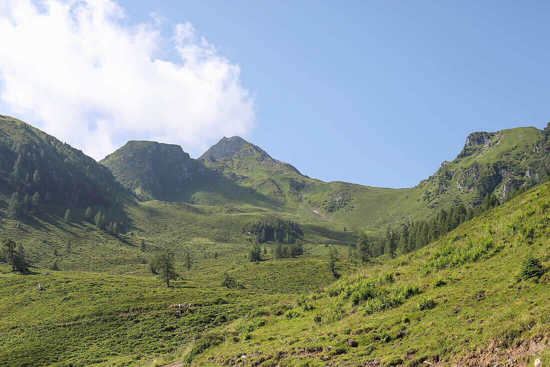 Die Hohe Arche (2453 Meter) am Rand des Nationalparks Hohe Tauern