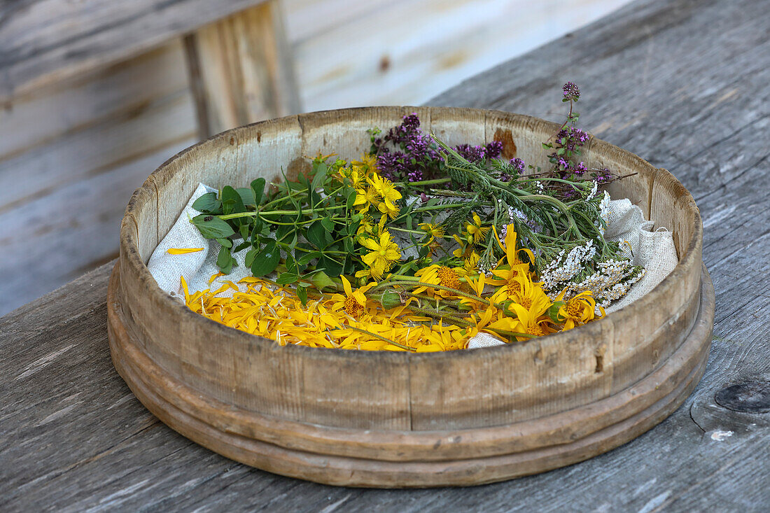 Quendel, yarrow, St John's wort and arnica