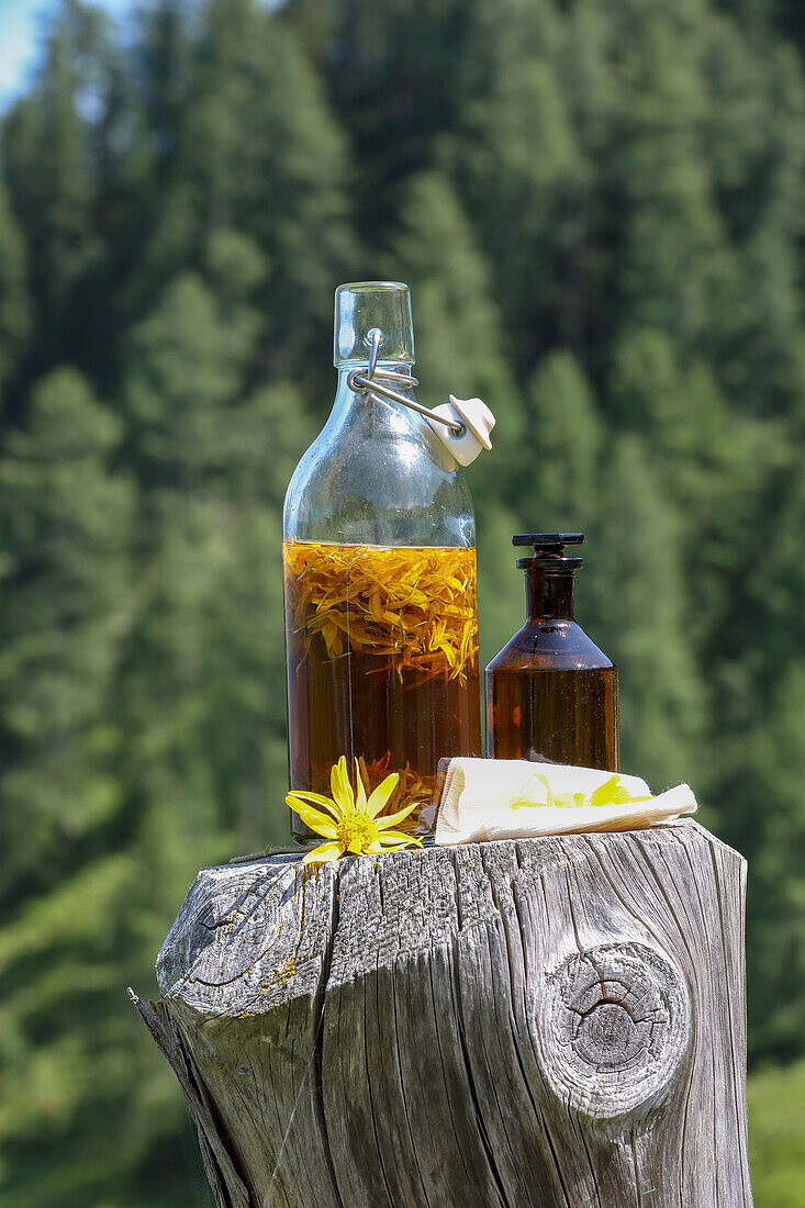 Arnica tincture for liniments and pulse wraps