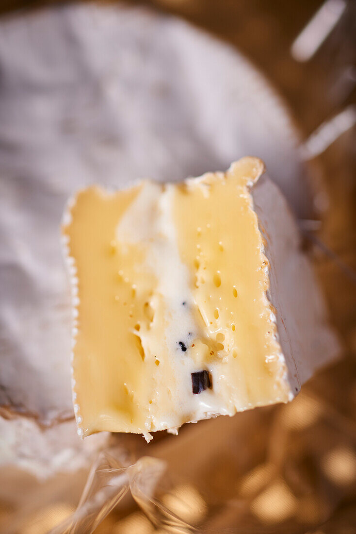 Camembert with truffle filling