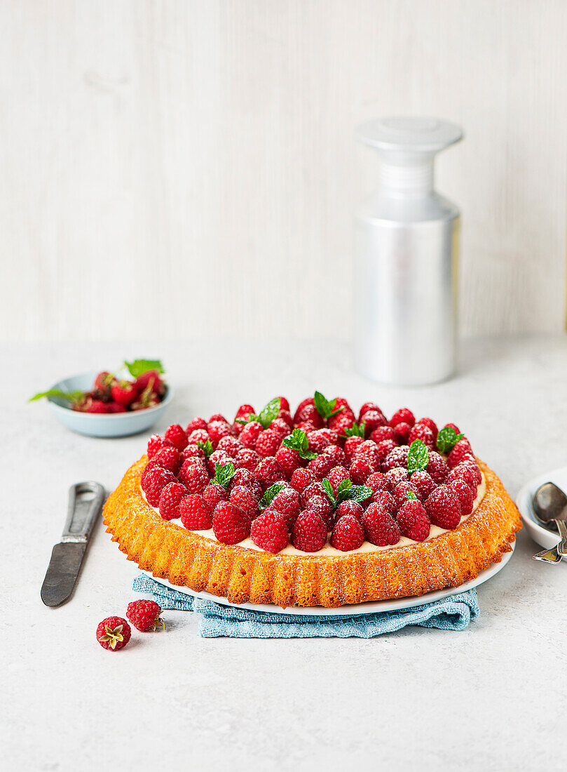Raspberry cake with pudding