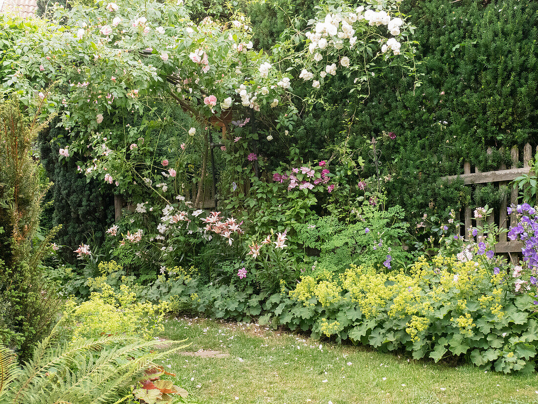 Climbing roses and clematis add a romantic flair to the garden