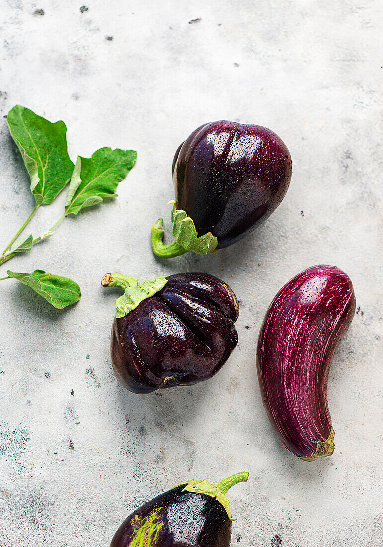 Different types of aubergine with water droplets and aubergine leaves