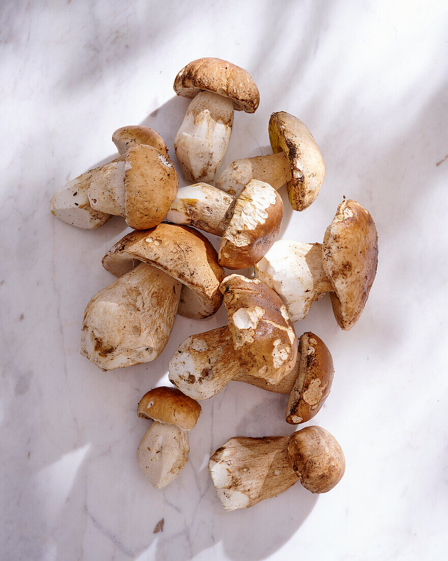 Raw, cleaned porcini mushrooms