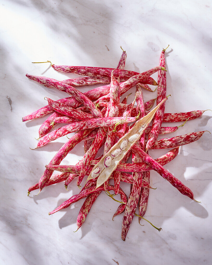 Red and white bean pods