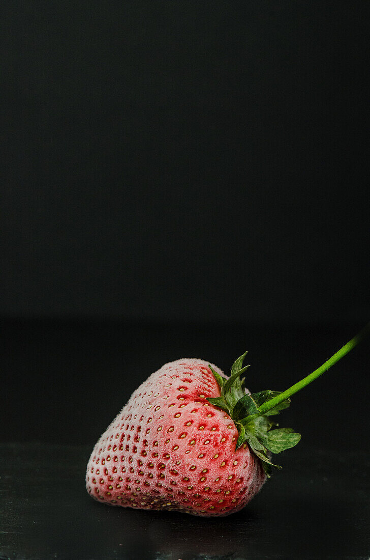 Gefrorene Erdbeere auf schwarzem Hintergrund