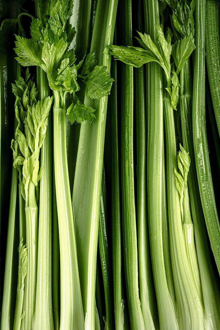 Close-up of celery stalks with leaves