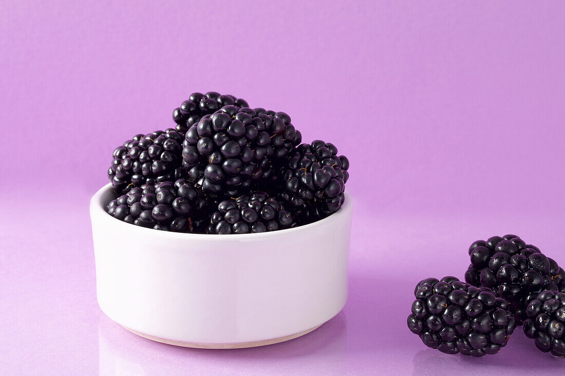 A bowl of blackberry on a purple background