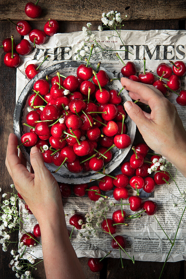 Fresh summer cherries with hands