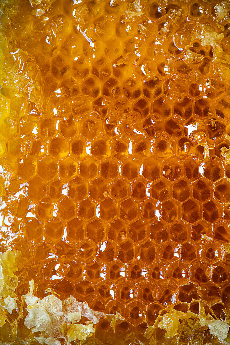 Honeycomb