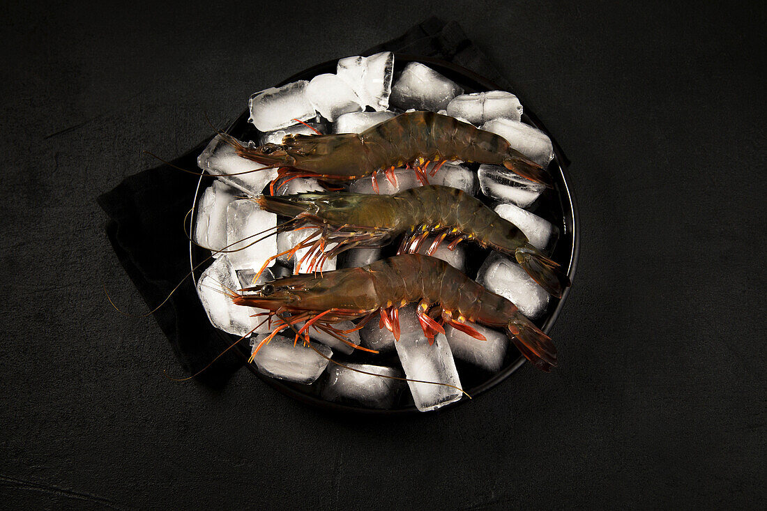 Raw tiger prawns on ice cubes