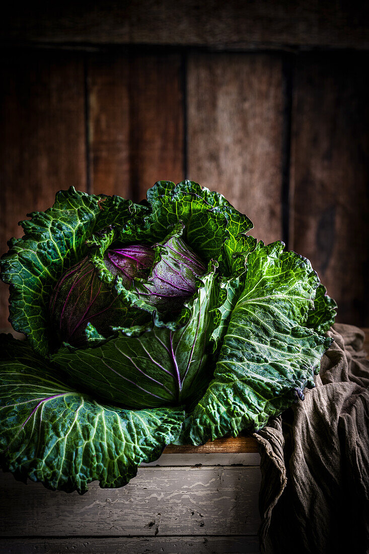Large green and purple savoy cabbage