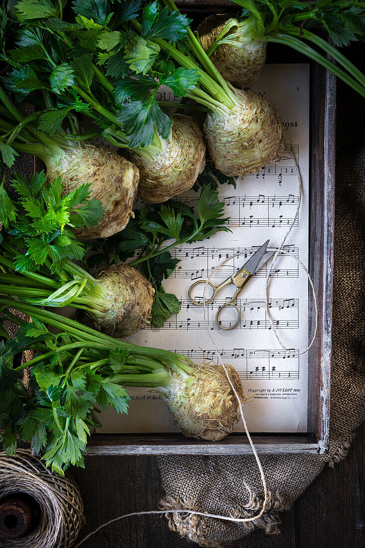 Fresh celeriac in a wooden crate