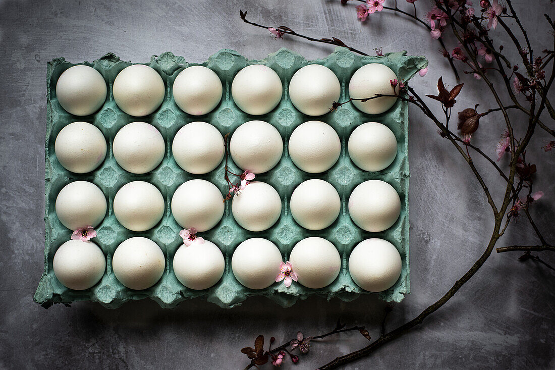 Turquoise palette with white eggs