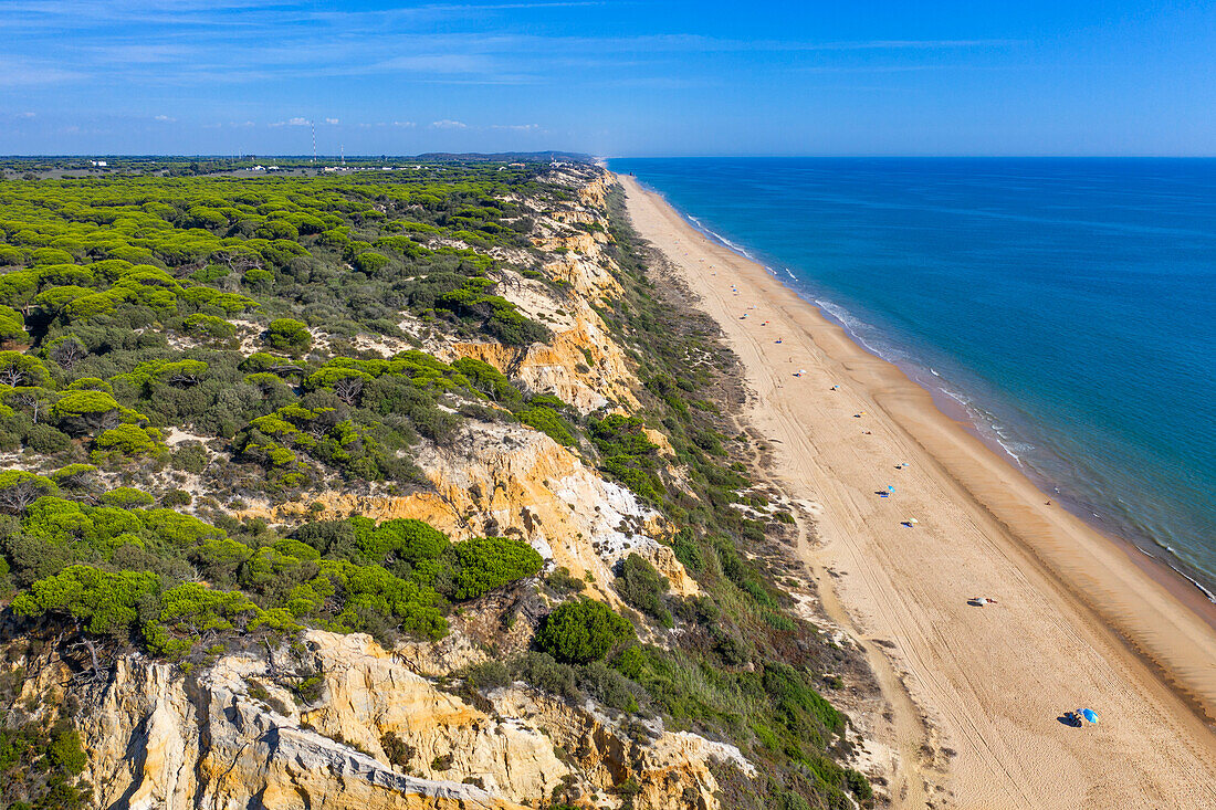 Aerial view of Fontanilla beach Sandy and cliffs, Mazagon, Costa de la Luz, Huelva Province, Andalucia, Spain, Europe