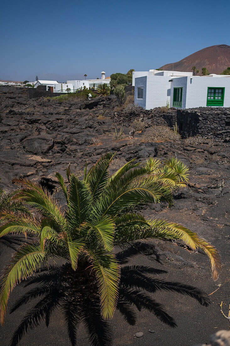 Lanzarote, Canary Islands, Spain