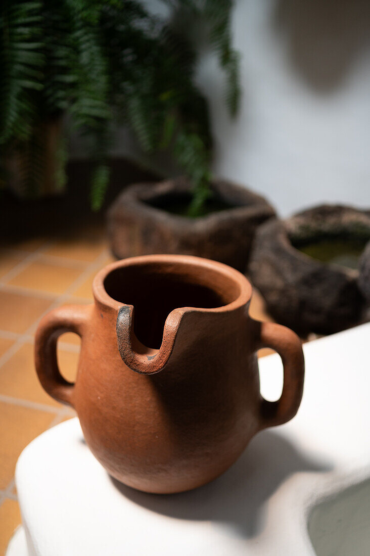 Casa Museo del Campesino (House museum of the peasant farmer) designed by César Manrique in Lanzarote, Canary Islands Spain