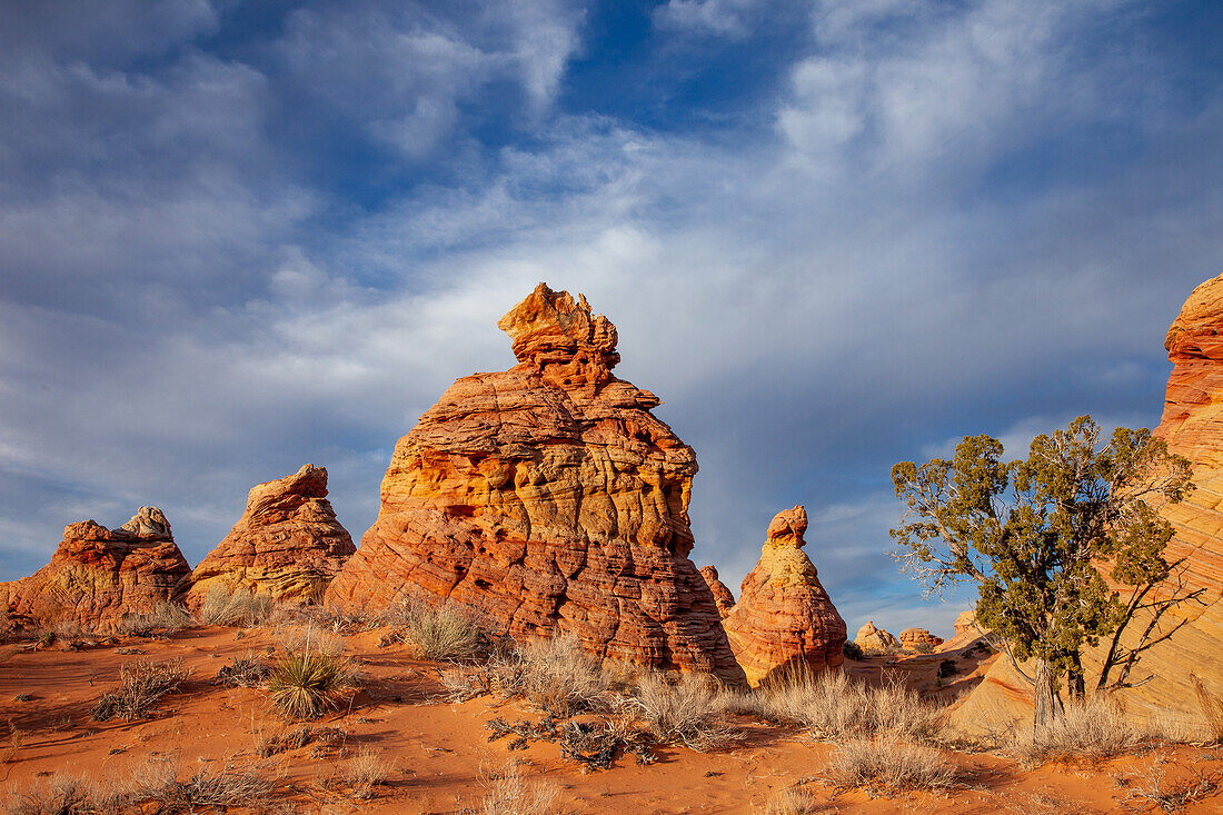 Eroded Navajo sandstone formations in South Coyote Buttes, Vermilion Cliffs National Monument, Arizona.