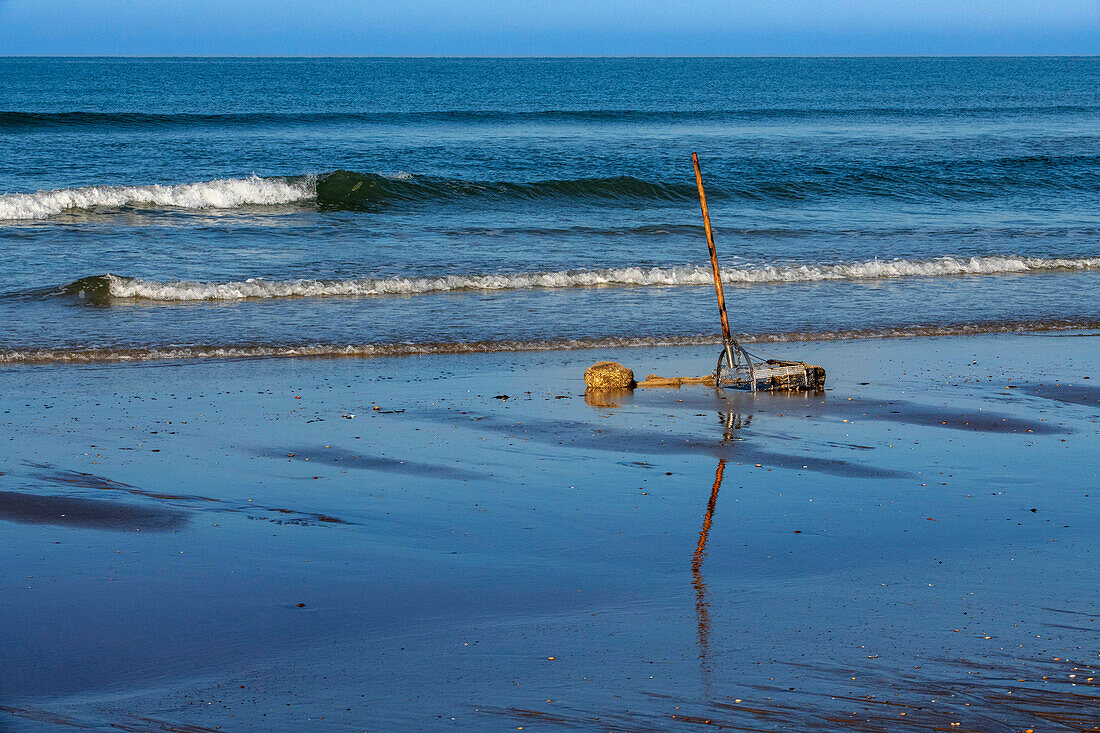 Coquinero, mariscadores tradicionales Parque Nacional de Doñana National Park, Almonte, Huelva province, Region of Andalusia, Spain, Europe