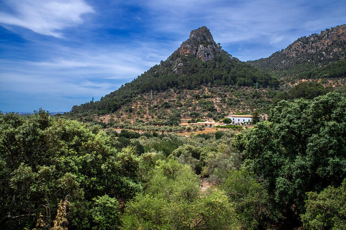 Serra de Tramuntana. Landschaft aus dem Fenster des Tren de Soller, eines historischen Zuges, der Palma de Mallorca mit Soller verbindet, Mallorca, Balearen, Spanien, Mittelmeer, Europa