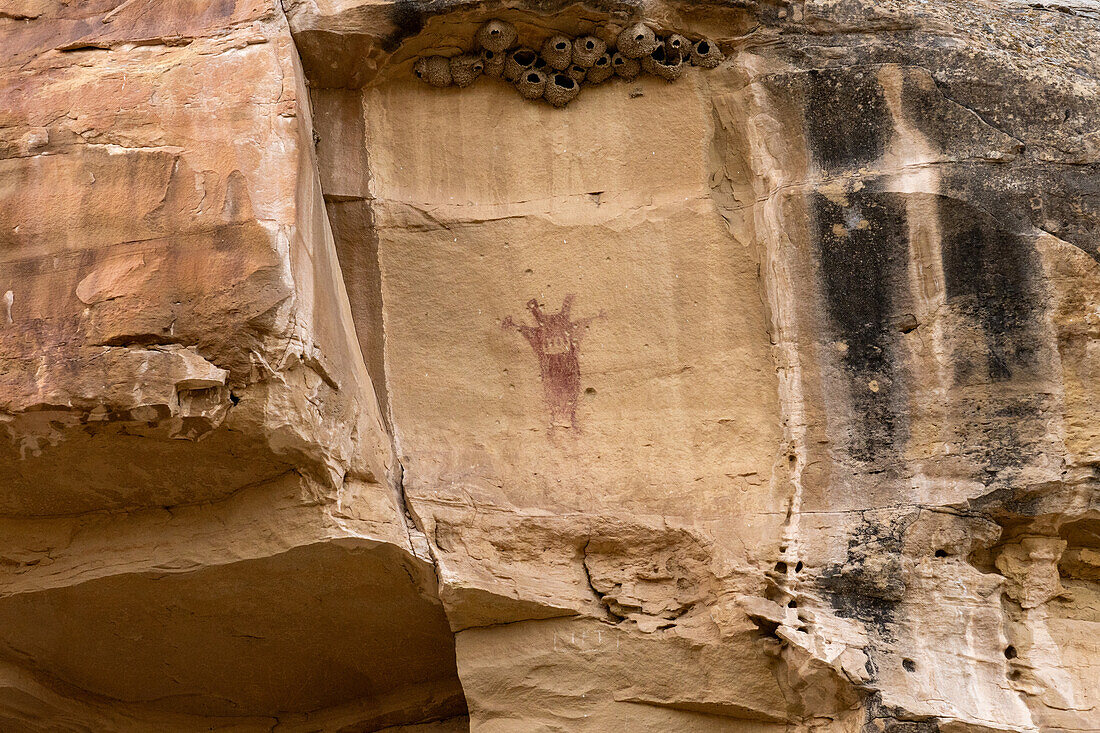 Native American pictographs at the Waving Hands Canyon Interpretive Site, Canyon Pintado National Historic District in Colorado. Pre-Hispanic Native American rock art.