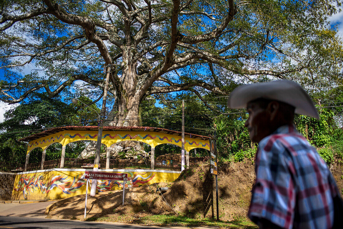 Plaza turistica La Ceiba in Salcoatitan Sonsonate El Salvador Central America. Ruta De Las Flores, Department Of Sonsonate.