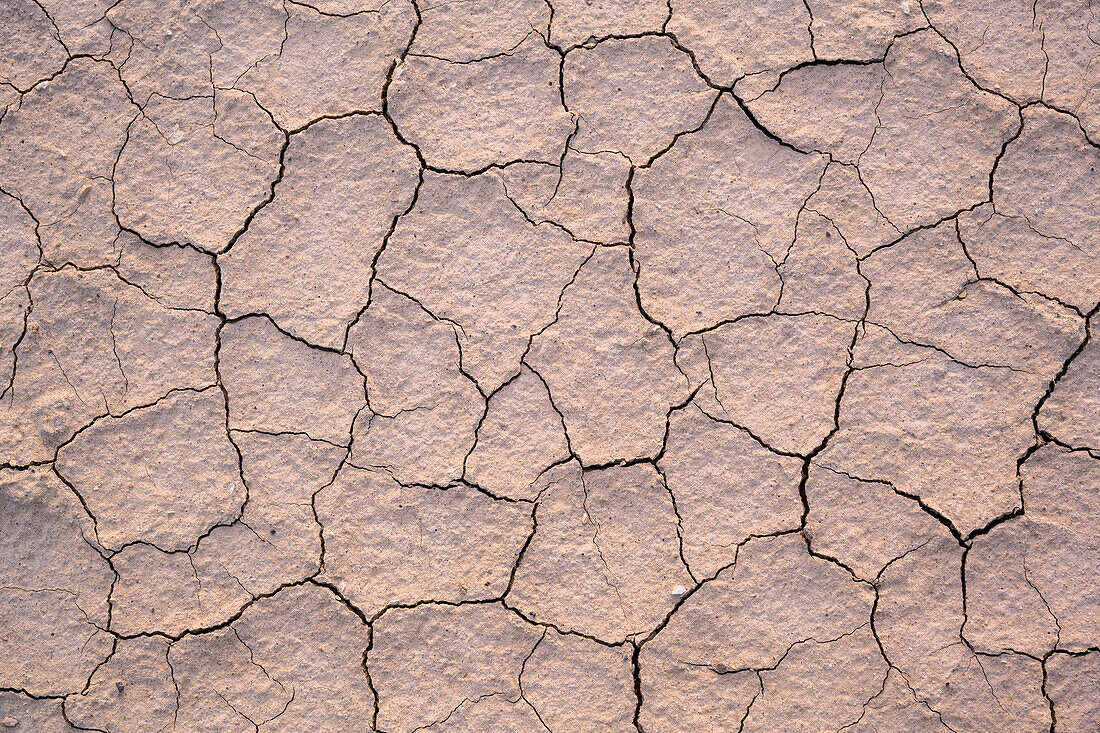 Mud tiles at 20 Mule Team Canyon in Death Valley National Park, California.