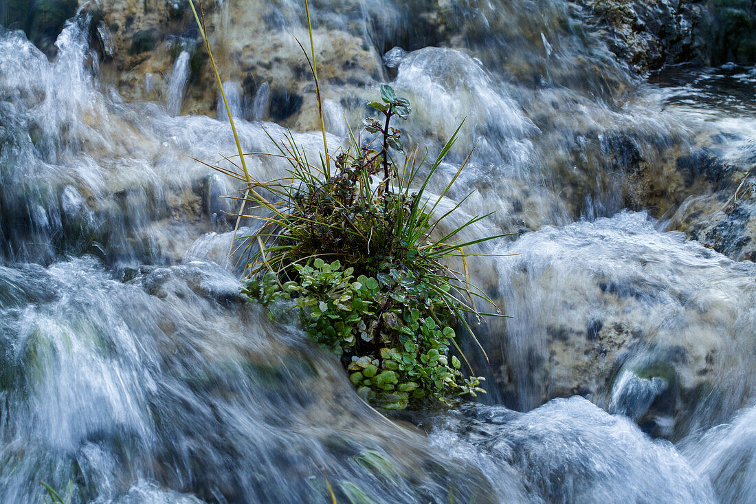 Cascade Springs auf dem Berg Timpanogos im Uinta National Forest in Utah