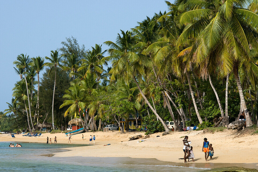 Las Terrenas Strand, Samana, Dominikanische Republik, Karibik, Amerika. Tropischer Karibikstrand mit Kokosnusspalmen