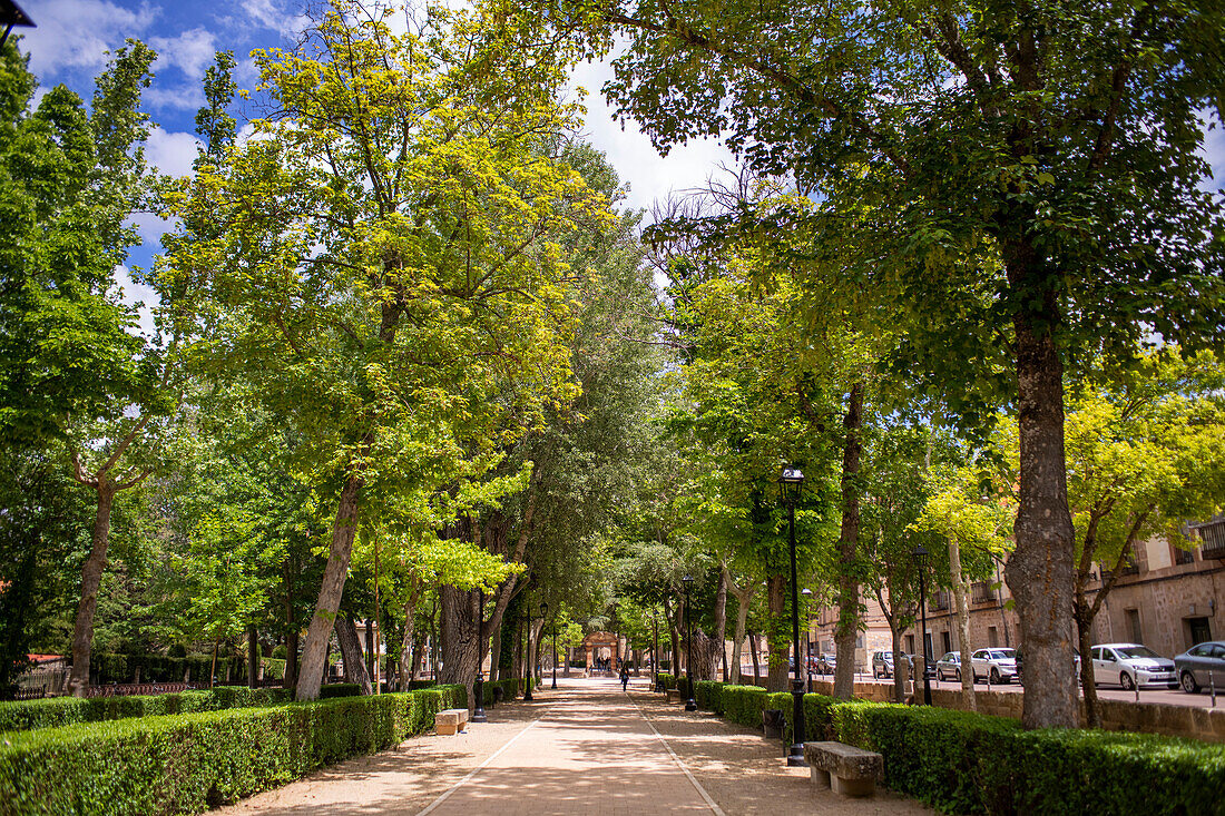 Der Park Parque de la alameda in Sigüenza, Provinz Guadalajara, Spanien