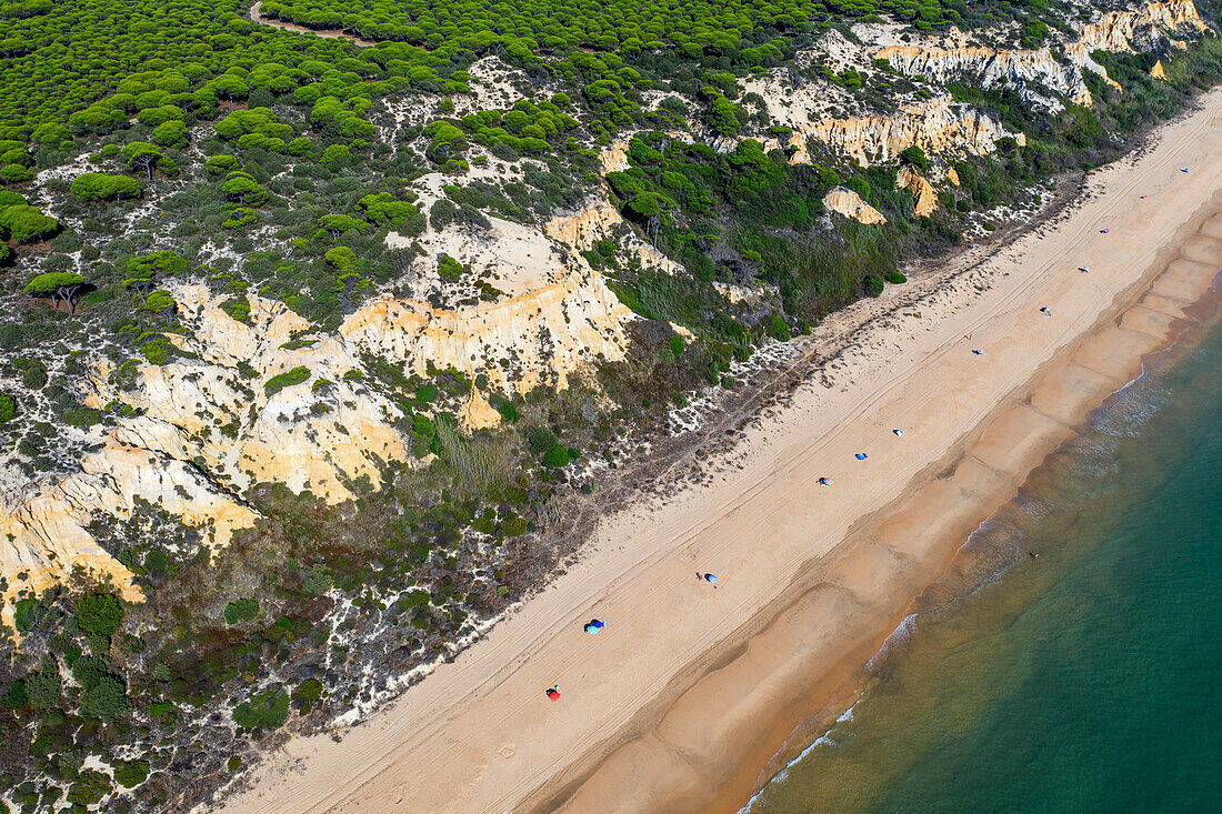 Aerial view of Fontanilla beach Sandy and cliffs, Mazagon, Costa de la Luz, Huelva Province, Andalucia, Spain, Europe