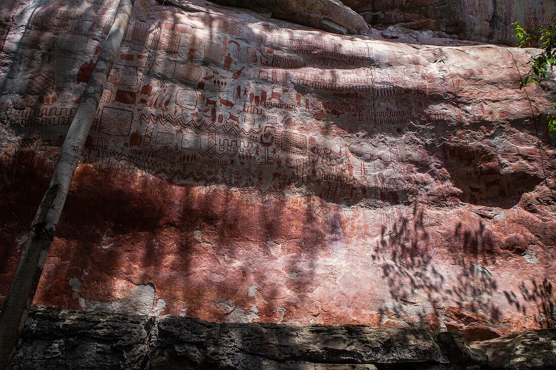 Rock paintings in Chiribiquete, declared a World Heritage Site by UNESCO, is one of the most prominent places to appreciate rock art in San José del Guaviare, which are of considerable antiquity, some dating back up to 12,000 years. These graphic representations have been created by ancestral indigenous communities that populated the region.