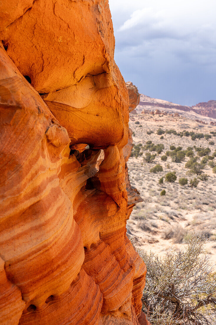Micro arch detail on the Chess Queen near South Coyote Buttes, Vermilion Cliffs National Monument, Arizona.