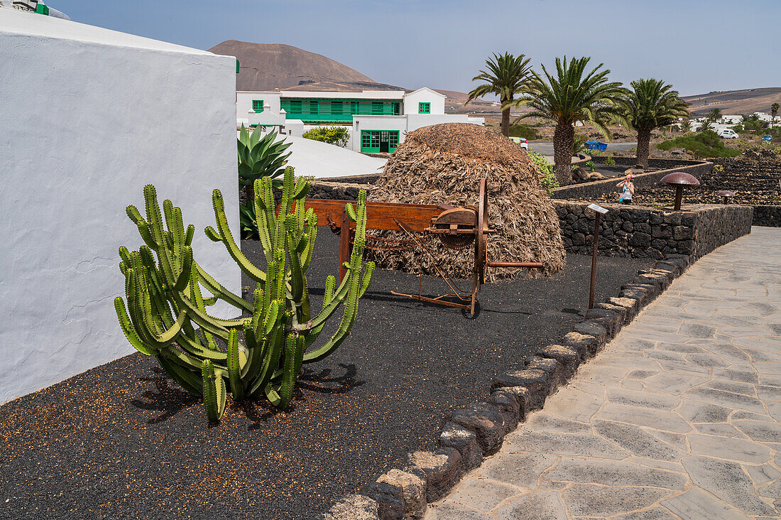 Casa Museo del Campesino (House museum of the peasant farmer) designed by César Manrique in Lanzarote, Canary Islands Spain