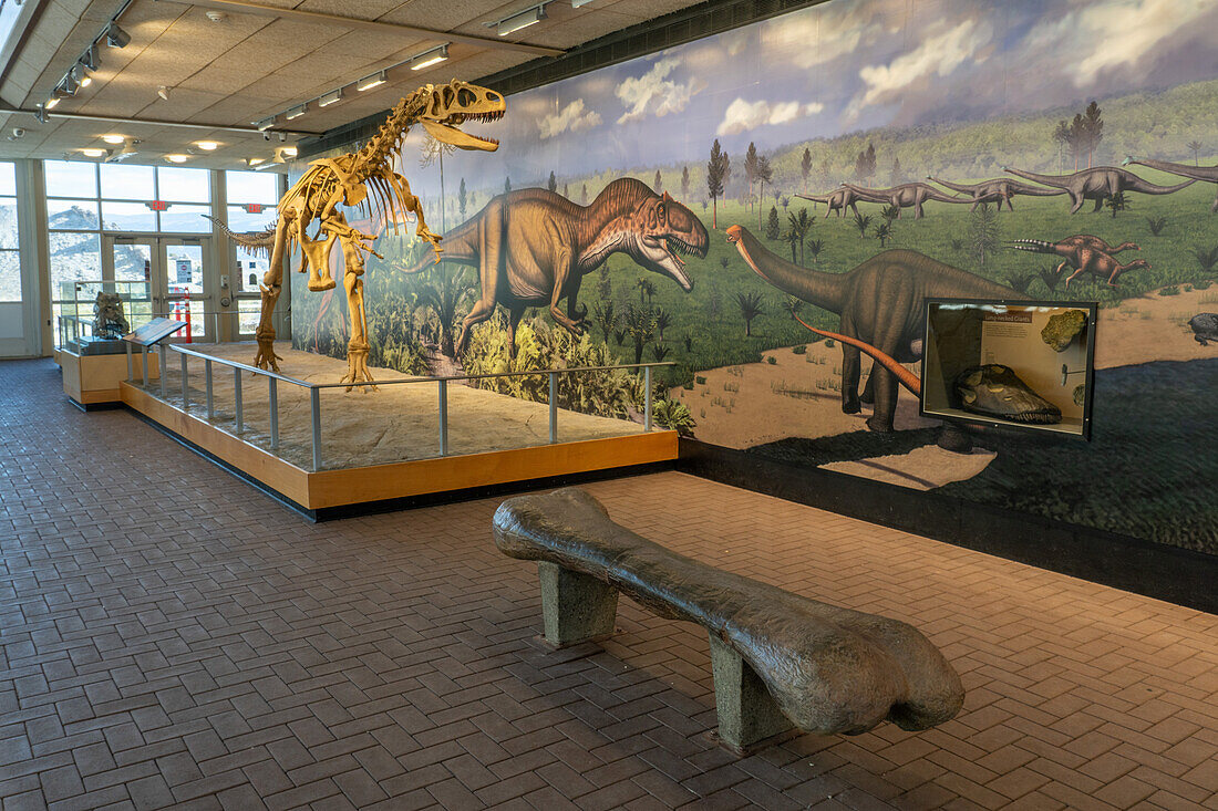 Fossilienexponate in der Quarry Exhibit Hall im Dinosaur National Monument. Jensen, Utah. Beachten Sie die Bänke in Form von Dinosaurierbeinknochen