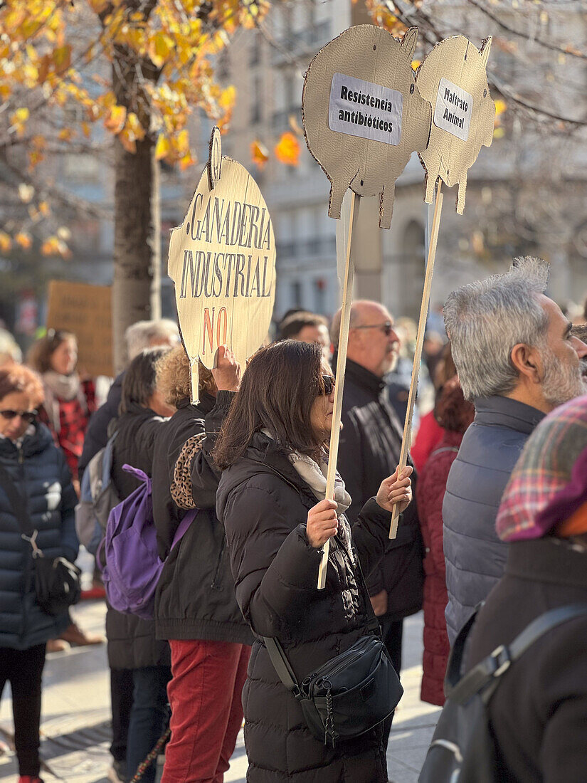 Hunderte von Menschen nehmen am Marsch zur Verteidigung der Umwelt und zur Mobilisierung für den COP28-Klimagipfel teil, Zaragoza, Aragon, Spanien