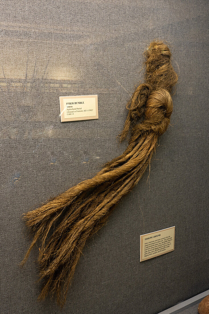 A yucca fiber bundle used by pre-Hispanic Native Americans in the USU Eastern Prehistoric Museum in Price, Utah.