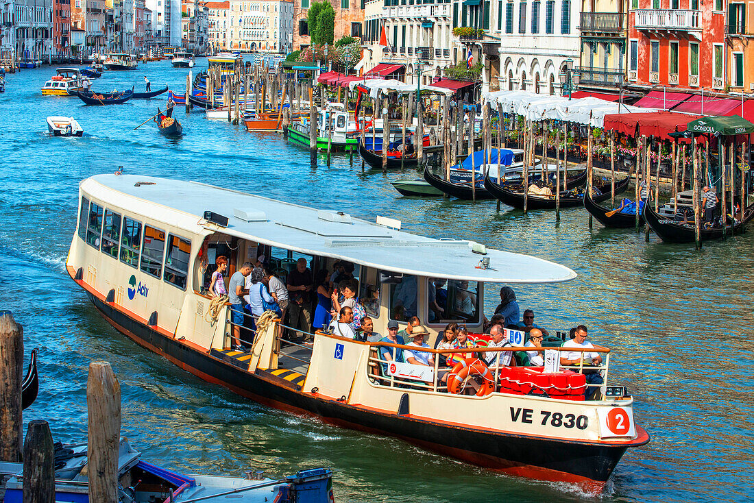 Vaporettos, Gondeln mit Touristen, auf dem Canal Grande, neben der Fondamenta del Vin, Venedig, UNESCO, Venetien, Italien, Europa