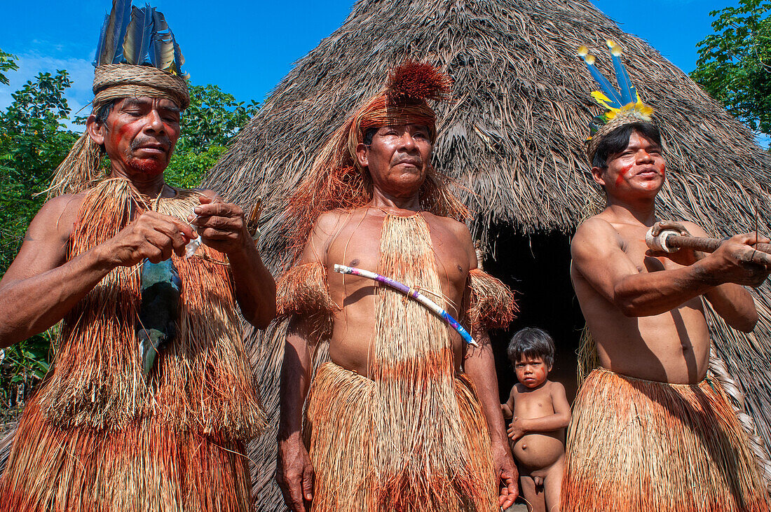 Jagd auf Blasrohrpfeile, Yagua-Indianer führen ein traditionelles Leben in der Nähe der Amazonasstadt Iquitos, Peru