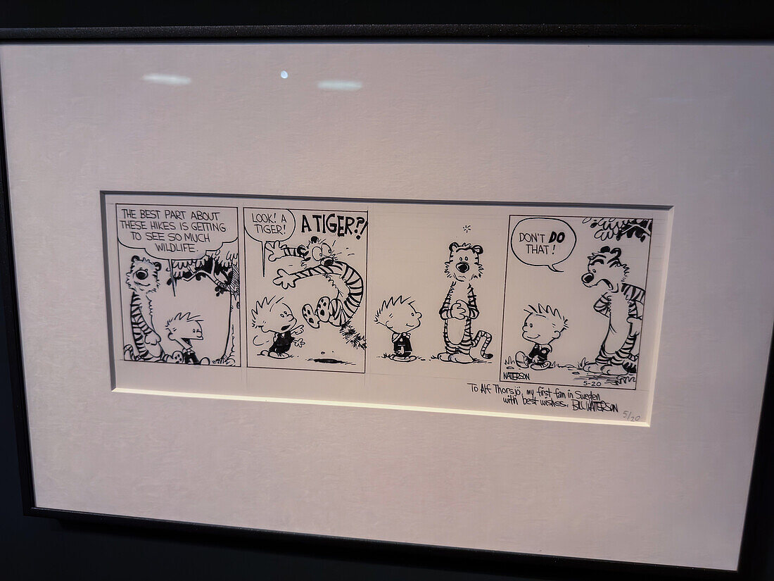 Calvin & Hobbes by Bill Waterson.