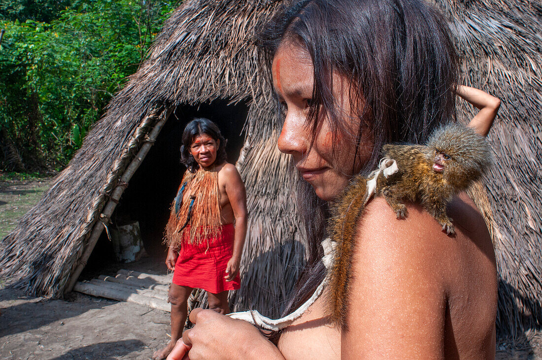 Pet pygmy marmoset Yagua Indians living a traditional life near the Amazonian city of Iquitos, Peru.