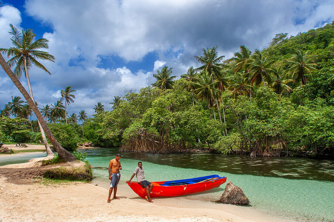 Boat trip in the rainforest, Mangroves. Ecotourism. Los Haitises National Park, Sabana de La Mar, Dominican Republic.