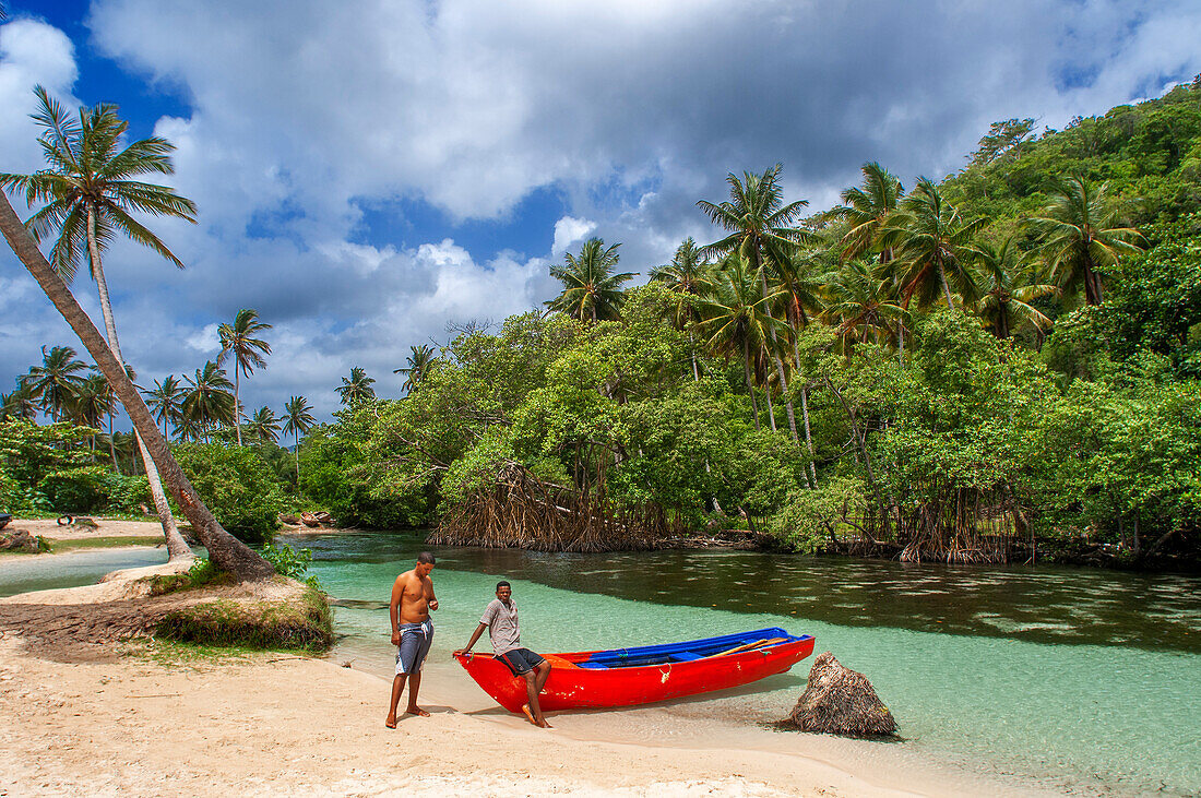 Bootsfahrt durch den Regenwald, Mangroven. Ökotourismus. Nationalpark Los Haitises, Sabana de La Mar, Dominikanische Republik
